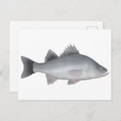 ホワイトパーチ ポストカード (正面/裏面)