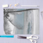 ホワイトパームココナッツツリービーチエレガントウェディング 薄葉紙 (クラフト)