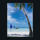 ホワイトビーチ |ボラカイ(フィリピン) ポストカード<br><div class="desc">パーム・ツリーとパロー</div>