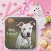 ホワイトピットブル ペーパープレート (パーティー)