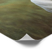 ホワイトピットブル ポスター (角)