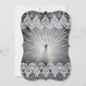 ホワイトピユニークーコックレースファンシー結婚式招待状 招待状 (裏面)