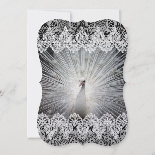 ホワイトピユニークーコックレースファンシー結婚式招待状 招待状 (裏面)