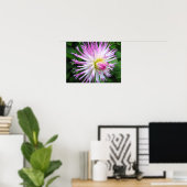 ホワイトピンクのダリア – ポスター (ホームオフィス)