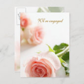 ホワイトピンクのバラ 結婚発表 案内ポストカード (正面/裏面)