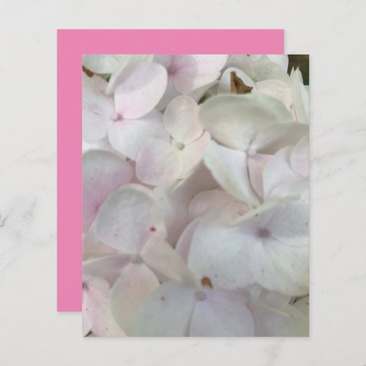 ホワイトピンクアジサイの花スクラップブック紙 (正面/裏面)