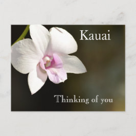 ホワイトピンクオーキッドフラワーカウアイ、ハワイ ポストカード