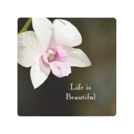 ホワイトピンクオーキッドフラワーカウアイ、ハワイ メタルプリント