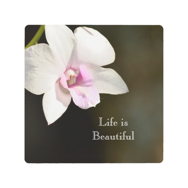 ホワイトピンクオーキッドフラワーカウアイ、ハワイ メタルプリント (正面)