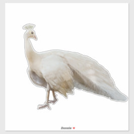 ホワイトピーコックのポーズ シール