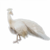 ホワイトピーコックのポーズ シール (正面)