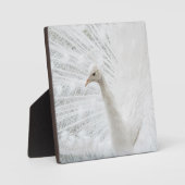 ホワイトピーコックの美しい羽 フォトプラーク (正面)