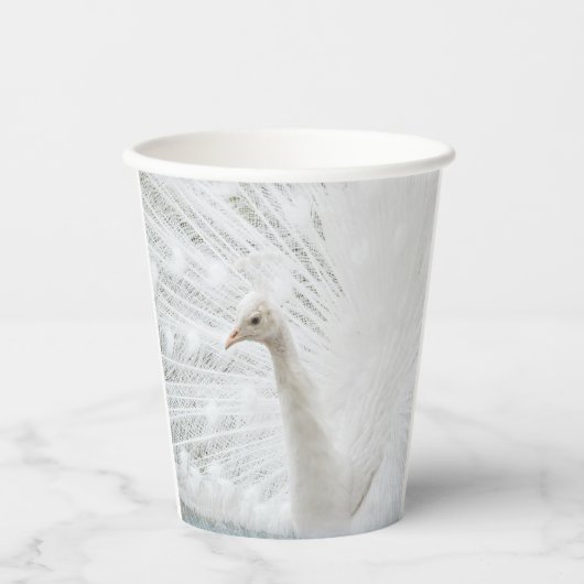 ホワイトピーコックの美しい羽 紙コップ (正面)