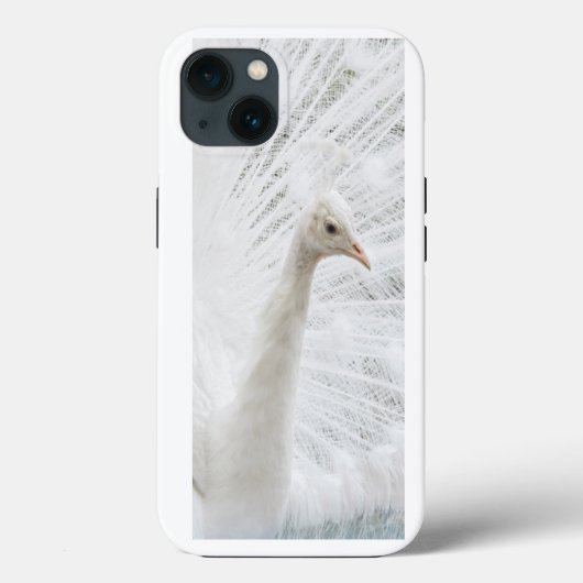 ホワイトピーコックの美しい羽 Case-Mate iPhoneケース (裏面)