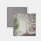 ホワイトピーコックアンドグリーンピーコックフェザーアートプリント マグネット (正面/裏面)