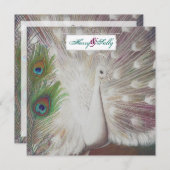 ホワイトピーコックアンドフェザー結婚式招待状 招待状 (正面/裏面)