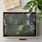 ホワイトピーコックエンジェルオークツリーティッシュペーパー 薄葉紙 (ギフト)