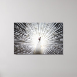 ホワイトピーコックオンプレミアムキャンバスプリント（光沢） キャンバスプリント