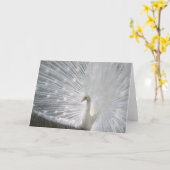 ホワイトピーコックグリーティングカード カード (黄色い花)