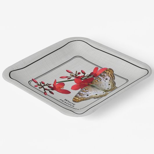 ホワイトピーコックバタフライクローズアップ写真 ペーパープレート (傾斜あり)