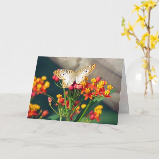 ホワイトピーコックバタフライグリーティングカード カード (黄色い花)