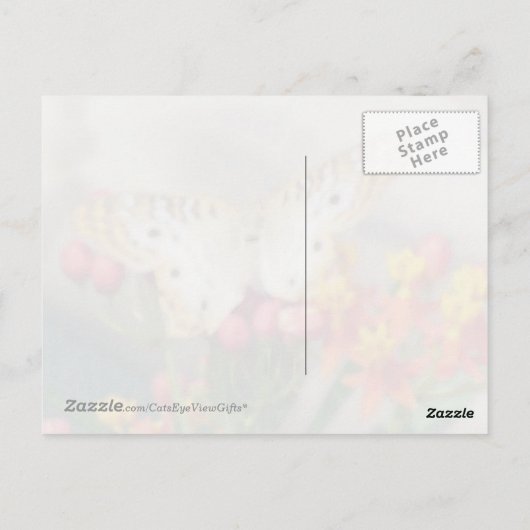 ホワイトピーコックバタフライ引用文はがき ポストカード (裏面)