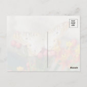 ホワイトピーコックバタフライ引用文 ポストカード (裏面)