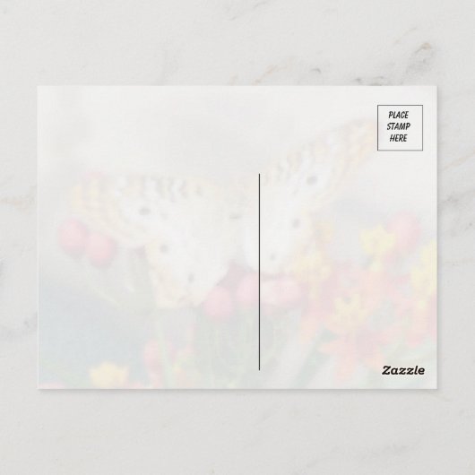 ホワイトピーコックバタフライ引用文 ポストカード (裏面)