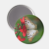 ホワイトピーコックバタフライ花の写真 マグネット (正面/裏面)