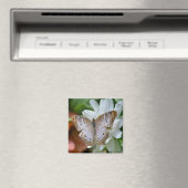 ホワイトピーコックバタフライ マグネット (インサイチュ (食洗機))