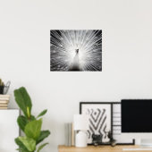 ホワイトピーコック写真ポスター ポスター (ホームオフィス)