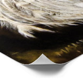 ホワイトピーコック絵画のプリントポスターのアート ポスター (角)