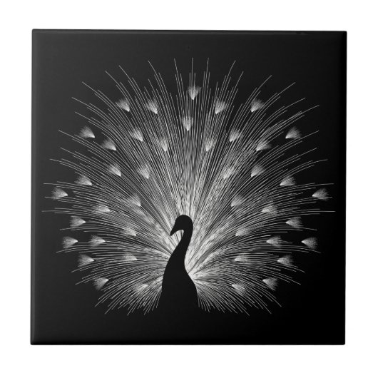 ホワイトピーコック タイル (正面)