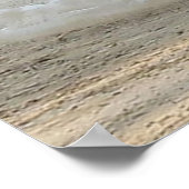 ホワイトピーコック ポスター (角)