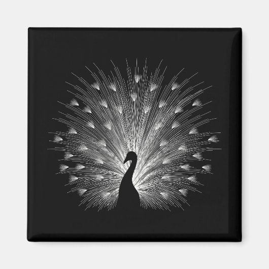 ホワイトピーコック マグネット (正面)