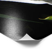 ホワイトピースリリー植物フローラ フォトプリント (角)