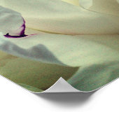 ホワイトピーニーインナー感動的ピース ポスター (角)