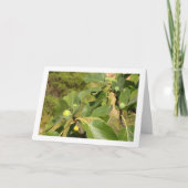 ホワイトフィギュスオンツリーポートレート カード (正面)