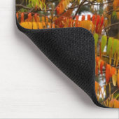 ホワイトフィッシュの秋の色のサマキノキ マウスパッド (コーナー)