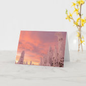 ホワイトフィッシュの範囲 |ホワイトフィッシュ（モンタナ） カード (黄色い花)