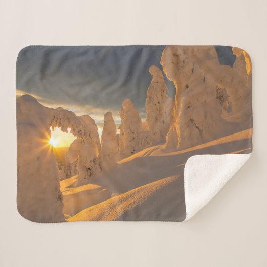 ホワイトフィッシュの範囲 |ホワイトフィッシュ(モンタナ) シェルパブランケット (正面(横))