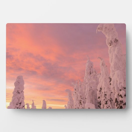 ホワイトフィッシュの範囲 |ホワイトフィッシュ(モンタナ) フォトプラーク (正面)