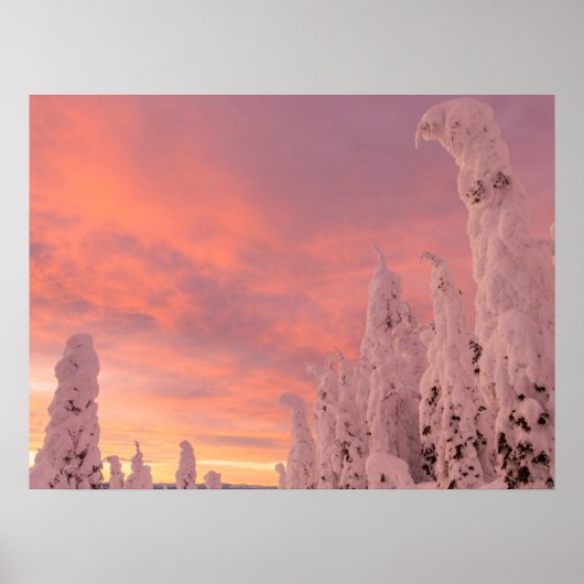 ホワイトフィッシュの範囲 |ホワイトフィッシュ（モンタナ） ポスター (正面)