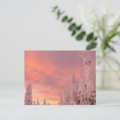 ホワイトフィッシュの範囲 |ホワイトフィッシュ(モンタナ) ポストカード (スタンド正面)