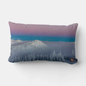 ホワイトフィッシュマウンテンリゾートインホワイトフィッシュモンタナ ランバークッション (裏面)