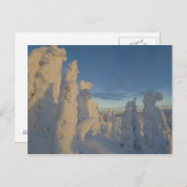 ホワイトフィッシュマウンテン2の夕暮れ時の雪幽霊 ポストカード (正面/裏面)