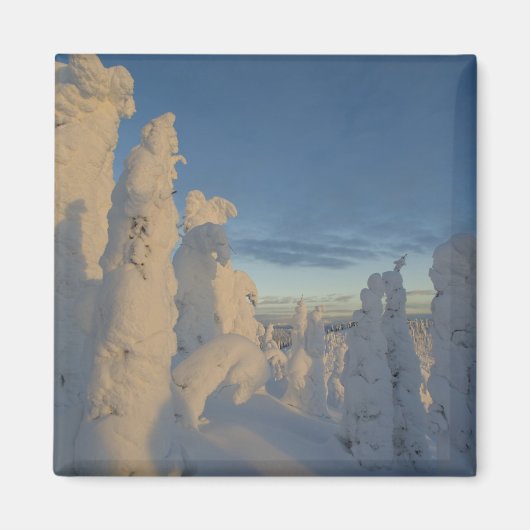 ホワイトフィッシュマウンテン2の夕暮れ時の雪幽霊 マグネット (正面)