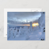 ホワイトフィッシュ山の夕暮れの雪の幽霊 ポストカード (正面/裏面)