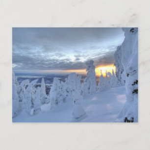 ホワイトフィッシュ山の夕暮れの雪の幽霊 ポストカード