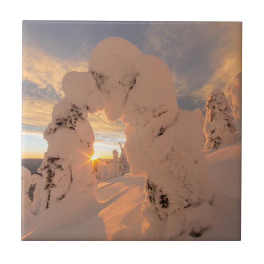 ホワイトフィッシュ山脈の雪の幽霊 タイル (正面)